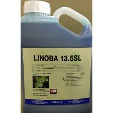 linoba